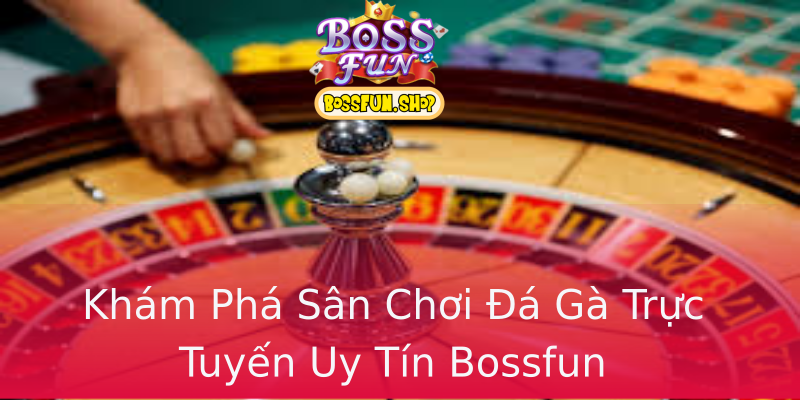 Khám Phá Sân Chơi Đá Gà Trực Tuyến Uy Tín Bossfun Khám Phá Sân Chơi Đá Gà Trực Tuyến Uy Tín Bossfun