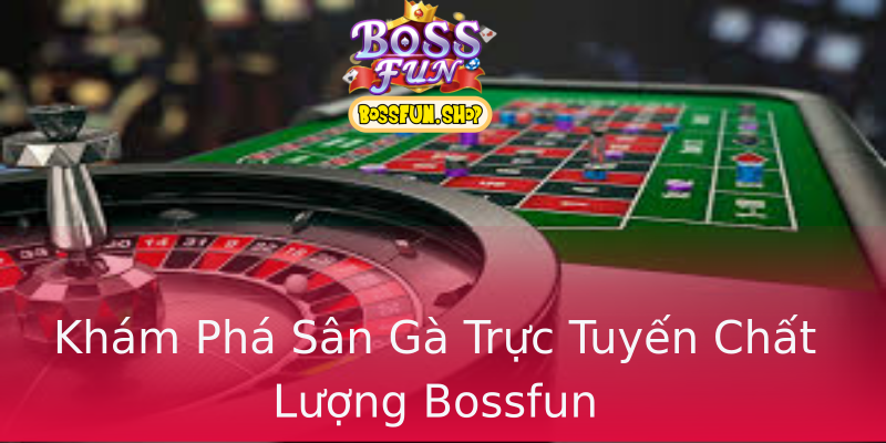 Khám Phá Sân Gà Trực Tuyến Chất Lượng Bossfun Khám Phá Sân Gà Trực Tuyến Chất Lượng Bossfun