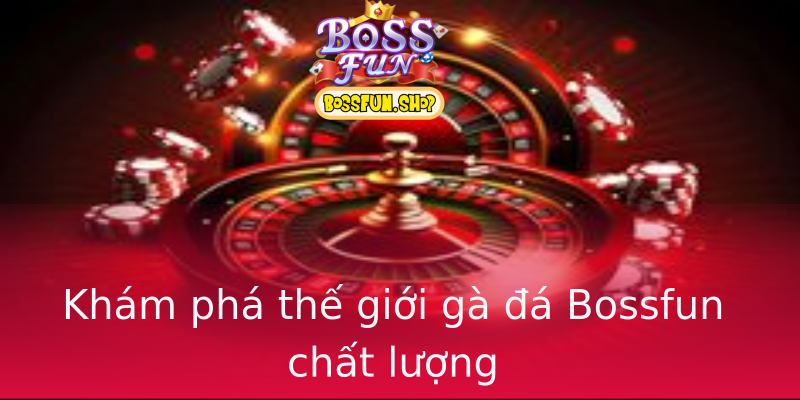Khám phá thế giới gà đá Bossfun chất lượng Khám phá thế giới gà đá Bossfun chất lượng