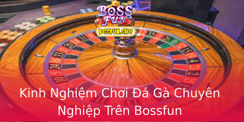 Kinh Nghiệm Chơi Đá Gà Chuyên Nghiệp Trên Bossfun Kinh Nghiệm Chơi Đá Gà Chuyên Nghiệp Trên Bossfun