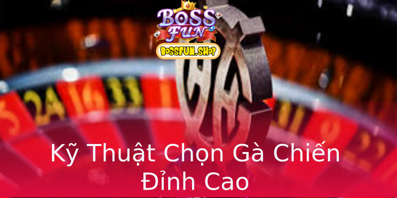 Kỹ Thuật Chọn Gà Chiến Đỉnh Cao Kỹ Thuật Chọn Gà Chiến Đỉnh Cao