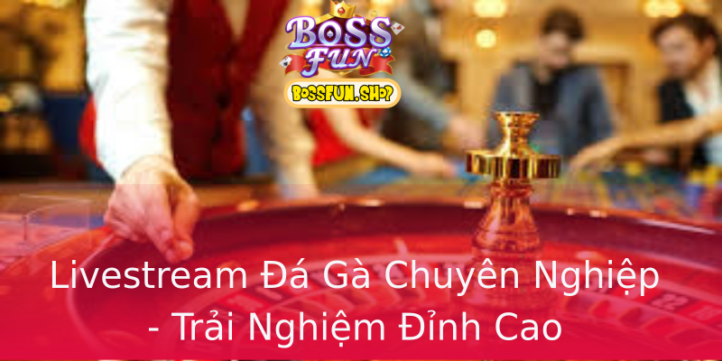 Livestream Đá Gà Chuyên Nghiệp - Trải Nghiệm Đỉnh Cao Livestream Đá Gà Chuyên Nghiệp - Trải Nghiệm Đỉnh Cao