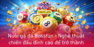Nuoi Ga A Bossfun Nghe Thuat Chien Au Inh Cao E Tro Thanh Bac Thay