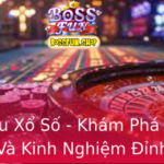 Soi Cau Xo So Kham Pha Chien Luoc Va Kinh Nghiem Inh Cao